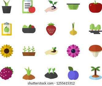 Color flat icon set colander flat vector, mushroom, tomato, onion, salad, Strawberry, blackberry, plum, home plant, flower, seedlings, planting plants, forest, diet, island fector