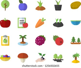 Color flat icon set colander flat vector, mushroom, potato, tomato, carrot, salad, cranberry, blackberry, plum, home plant, tree, seedlings, planting plants, forest, diet, island fector