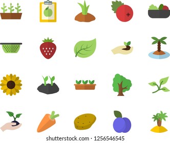 Color flat icon set colander flat vector, potato, carrot, salad, cranberry, Strawberry, plum, tree, flower, seedlings, planting plants, leaf, diet, island fector