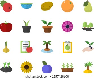 Color flat icon set colander flat vector, potato, tomato, onion, cranberry, plum, pear, orange, home plant, flower, seedlings, planting plants, forest, diet, island fector