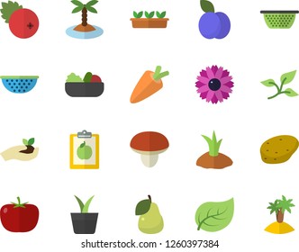 Color flat icon set colander flat vector, mushroom, potato, tomato, carrot, salad, cranberry, plum, pear, home plant, flower, seedlings, planting plants, tree leaf, diet, island fector
