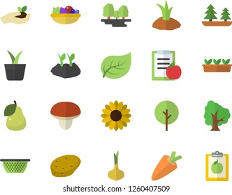 Color flat icon set colander flat vector, mushroom, potato, onion, carrot, salad, pear, home plant, tree, flower, seedlings, planting plants, leaf, forest, diet