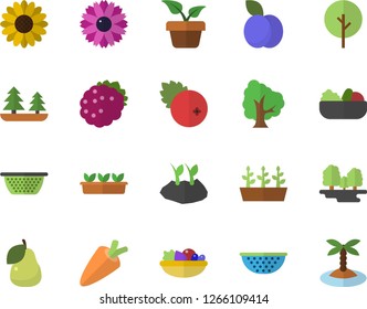 Color flat icon set colander flat vector, carrot, salad, cranberry, blackberry, plum, pear, home plant, tree, flower, planting plants, seedlings, forest, island fector
