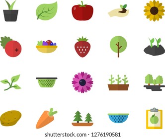 Color flat icon set colander flat vector, potato, tomato, carrot, salad, cranberry, Strawberry, home plant, tree, flower, seedlings, planting plants, leaf, forest, diet
