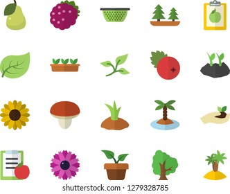 Color flat icon set colander flat vector, mushroom, cranberry, blackberry, pear, home plant, tree, flower, seedlings, planting plants, leaf, forest, diet, island fector