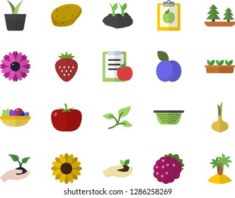 Color flat icon set colander flat vector, potato, tomato, onion, salad, Strawberry, blackberry, plum, home plant, flower, seedlings, planting plants, tree leaf, forest, diet, island fector