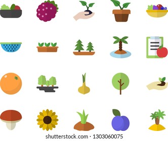 Color flat icon set colander flat vector, mushroom, onion, salad, blackberry, plum, orange, home plant, tree, flower, seedlings, planting plants, forest, diet, island fector
