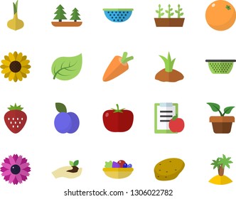 Color flat icon set colander flat vector, potato, tomato, onion, carrot, salad, Strawberry, plum, orange, home plant, flower, seedlings, planting plants, tree leaf, forest, diet, island fector