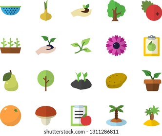 Color flat icon set colander flat vector, mushroom, potato, onion, cranberry, pear, orange, home plant, tree, flower, seedlings, planting plants, leaf, diet, island fector