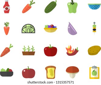 Color flat icon set colander flat vector, mushroom, potato, tomato, salad, carrot, garlic, bell pepper, hot peppers, cucumber, canape, ketchup, sandwich, seedlings, greenhouse, diet