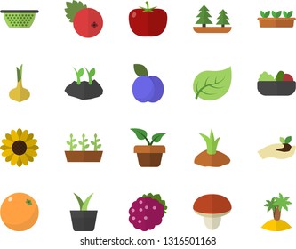 Color flat icon set colander flat vector, mushroom, tomato, onion, salad, cranberry, blackberry, plum, orange, home plant, flower, seedlings, planting plants, tree leaf, forest, island fector
