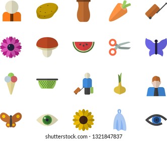 Color flat icon set colander flat vector, towel, jugful, mushroom, potato, onion, carrot, watermelon, ice cream, flower, butterflies, person, luggage fector, scissors, eye
