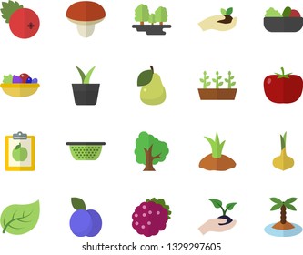 Color flat icon set colander flat vector, mushroom, tomato, onion, salad, cranberry, blackberry, plum, pear, home plant, tree, seedlings, planting plants, leaf, forest, diet, island fector