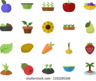 Color flat icon set colander flat vector, potato, tomato, onion, carrot, salad, cranberry, Strawberry, plum, pear, home plant, flower, planting plants, seedlings, tree leaf, island fector