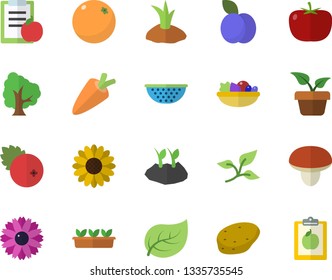 Color flat icon set colander flat vector, mushroom, potato, tomato, carrot, salad, cranberry, plum, orange, home plant, tree, flower, planting plants, seedlings, leaf, diet