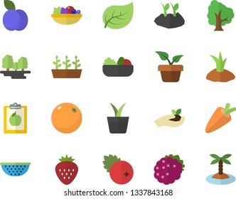 Color flat icon set colander flat vector, carrot, salad, cranberry, Strawberry, blackberry, plum, orange, home plant, tree, seedlings, planting plants, leaf, forest, diet, island fector