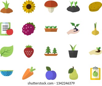 Color flat icon set colander flat vector, mushroom, potato, onion, carrot, Strawberry, blackberry, plum, pear, home plant, flower, seedlings, planting plants, tree leaf, forest, diet