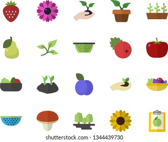 Color flat icon set colander flat vector, mushroom, tomato, salad, cranberry, Strawberry, plum, pear, home plant, flower, seedlings, planting plants, tree leaf, forest, diet