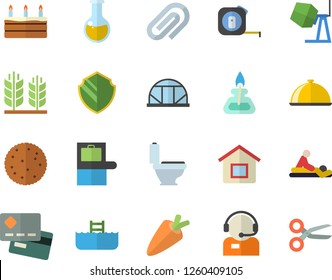 Color flat icon set concrete mixer flat vector, tape measure, toilet, dish, carrot, biscuit, cake, greenhouse, credit card, telephone operator, medical analysis, massage, clip, gas burner, ear, pool