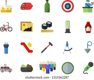 Color flat icon set construction plummet flat vector, ax, sieve, ketchup, sausage, cake, salad, fish rolls, energy saving lamp, dividers, glass bottles, team, ambulance, target, escalator fector