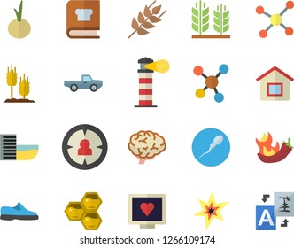 Color flat icon set cookbook flat vector, ear, onion, hot peppers, honeycomb, pickup truck, lighthouse, target audience, computer diagnostics of health, molecules, sperm, molecule, spark, brain