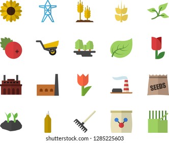 Color flat icon set cranberry flat vector, mustard, ear, seeds, flower, rake, planting plants, garden wheelbarrow, tulip, fertilizer vectory, tree leaf, factory, forest, power line support, plant