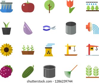 Color flat icon set crane flat vector, garlic, tomato, cucumber, blackberry, home plant, tree, flower, sprinkling machine, secateurs, rake, hose irrigation, tulip, seedlings, pipe production, ear