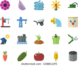 Color flat icon set crane flat vector, carrot, garlic, bell pepper, tomato, cucumber, ear, flower, hose, secateurs, planting plants, irrigation, garden wheelbarrow, fertilizer vectory, solar battery