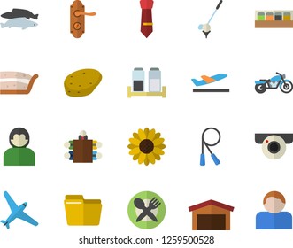 Color flat icon set door lock flat vector, spice, potato, piece of cake, fish, flower, warehouse, computer file, meeting, tie, skipping rope, aircraft fector, motorcycle, departure, table setting