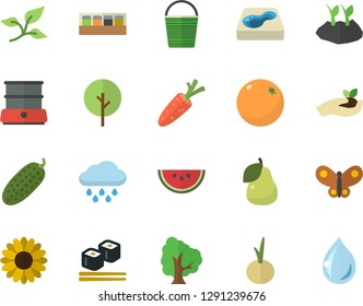 Color flat icon set double boiler flat vector, spice, watermelon, onion, cucumber, fish rolls, pear, orange, carrot, tree, flower, seedlings, bucketful, planting plants, butterflies, rain, pool