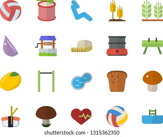 Color flat icon set double boiler flat vector, lemon, bread, mushroom, garlic, sashimi, ear, well, pond, volleyball, heartbeat, centimeter, parallel bars, sports equipment horse, swing press