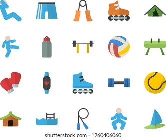 Color flat icon set dumbbell flat vector, barbell, volleyball, skipping rope, carpal expander, sports equipment horse, pear, athletic shorts, tennis ball, boxing gloves, roller Skates, gymnastics