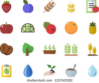 Color flat icon set ear flat vector, porridge, coffee beans, tomato, cranberry, Strawberry, pineapple, plum, orange, tree, seedlings, greenhouse, diet, drop