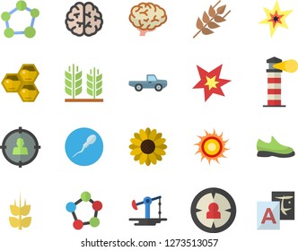 Color flat icon set ear flat vector, honeycomb, pickup truck, flower, oil pumping, lighthouse, target audience, molecules, sperm, molecule, spark, brain, sneakers, sun fector, translate