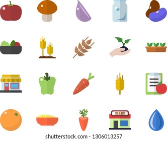 Color flat icon set ear flat vector, legumes, mushroom, salad, porridge, carrot, garlic, bell pepper, tomato, orange, grain warehouse, seedlings, glass bottles, diet, drop