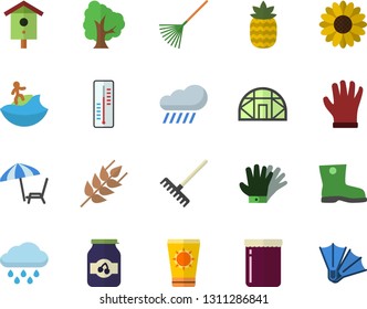 Color flat icon set ear flat vector, jam, pineapple, thermometer, nesting box, tree, flower, rake, gumboots, gloves, rain, greenhouse, chaise lounge fector, sun protection cream, surfing, flippers