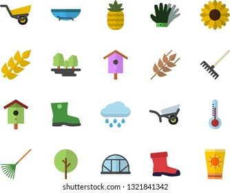Color flat icon set ear flat vector, pineapple, thermometer, nesting box, tree, flower, rake, garden wheelbarrow, gumboots, gloves, rain, greenhouse, forest, sea beach fector, sun protection cream