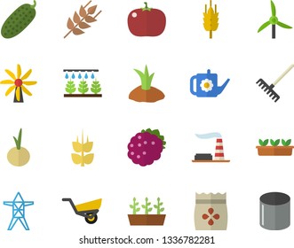 Color flat icon set ear flat vector, onion, tomato, cucumber, blackberry, seeds, sprinkling machine, rake, watering can, planting plants, garden wheelbarrow, seedlings, windmill, factory