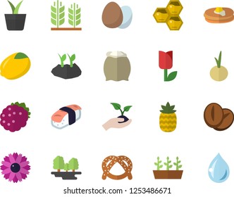 Color flat icon set egg flat vector, flour, lemon, pancakes, bagel, coffee beans, onion, sashimi, blackberry, pineapple, honeycomb, home plant, flower, seedlings, planting plants, tulip, forest, ear