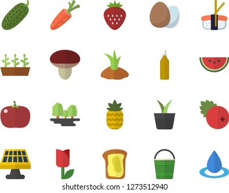 Color flat icon set egg flat vector, watermelon, tomato, cucumber, sashimi, cranberry, Strawberry, pineapple, mustard, sandwich, mushroom, home plant, carrot, bucketful, planting plants, tulip, drop