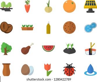 Color flat icon set egg flat vector, jugful, ham, biscuit, watermelon, coffee beans, carrot, onion, sashimi, mustard, orange, tree, ladybird, planting plants, tulip, seedlings, pond, solar battery
