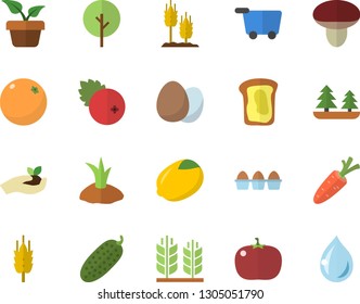 Color flat icon set egg flat vector, lemon, tomato, cucumber, cranberry, sandwich, orange, mushroom, ear, home plant, carrot, tree, seedlings, planting plants, forest, grocery trolley fector, drop
