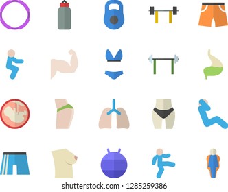 Color flat icon set embryo flat vector, breast, stomach, lungs, barbell, weight, muscles, buttocks, waistline, sports pear, athletic shorts, fitball, swimsuit, gymnastics, squats, swing press, hoop