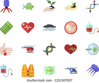 Color flat icon set fish flat vector, seedlings, blood transfusion, virus, injury, helicopter, embryo, artificial insemination, dna, heartbeat, life vest fector, inflatable mattress, jellyfish