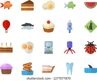 Color flat icon set fish flat vector, watermelon, cupcake, piece of cake, scrambled eggs, ladybird, virus, gestation, caries, computer, balloon fector, aquapark, pets allowed, shark