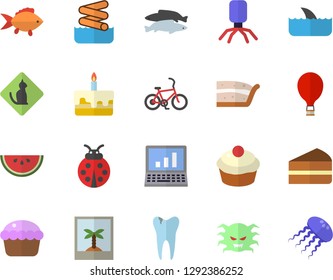 Color flat icon set fish flat vector, watermelon, cupcake, piece of cake, ladybird, virus, caries, computer, bicycle fector, balloon, aquapark, photo, pets allowed, shark, jellyfish