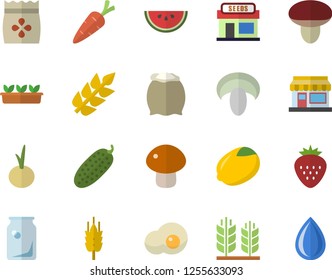 Color flat icon set flour flat vector, lemon, watermelon, mushroom, onion, cucumber, scrambled eggs, Strawberry, seeds, ear, carrot, grain warehouse, seedlings, glass bottles, drop