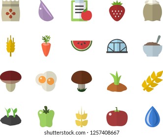 Color flat icon set flour flat vector, watermelon, porridge, carrot, garlic, bell pepper, tomato, scrambled eggs, Strawberry, ear, mushroom, seeds, planting plants, greenhouse, diet, drop