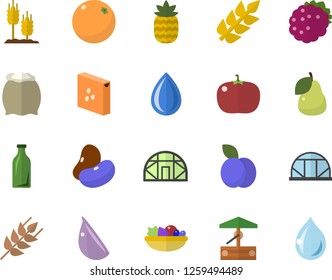 Color flat icon set flour flat vector, groats, ear, legumes, salad, garlic, tomato, blackberry, pineapple, plum, pear, orange, well, greenhouse, glass bottles, drop