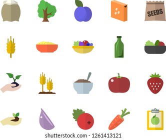 Color flat icon set flour flat vector, groats, salad, porridge, garlic, tomato, cranberry, Strawberry, plum, seeds, ear, carrot, tree, seedlings, glass bottles, diet